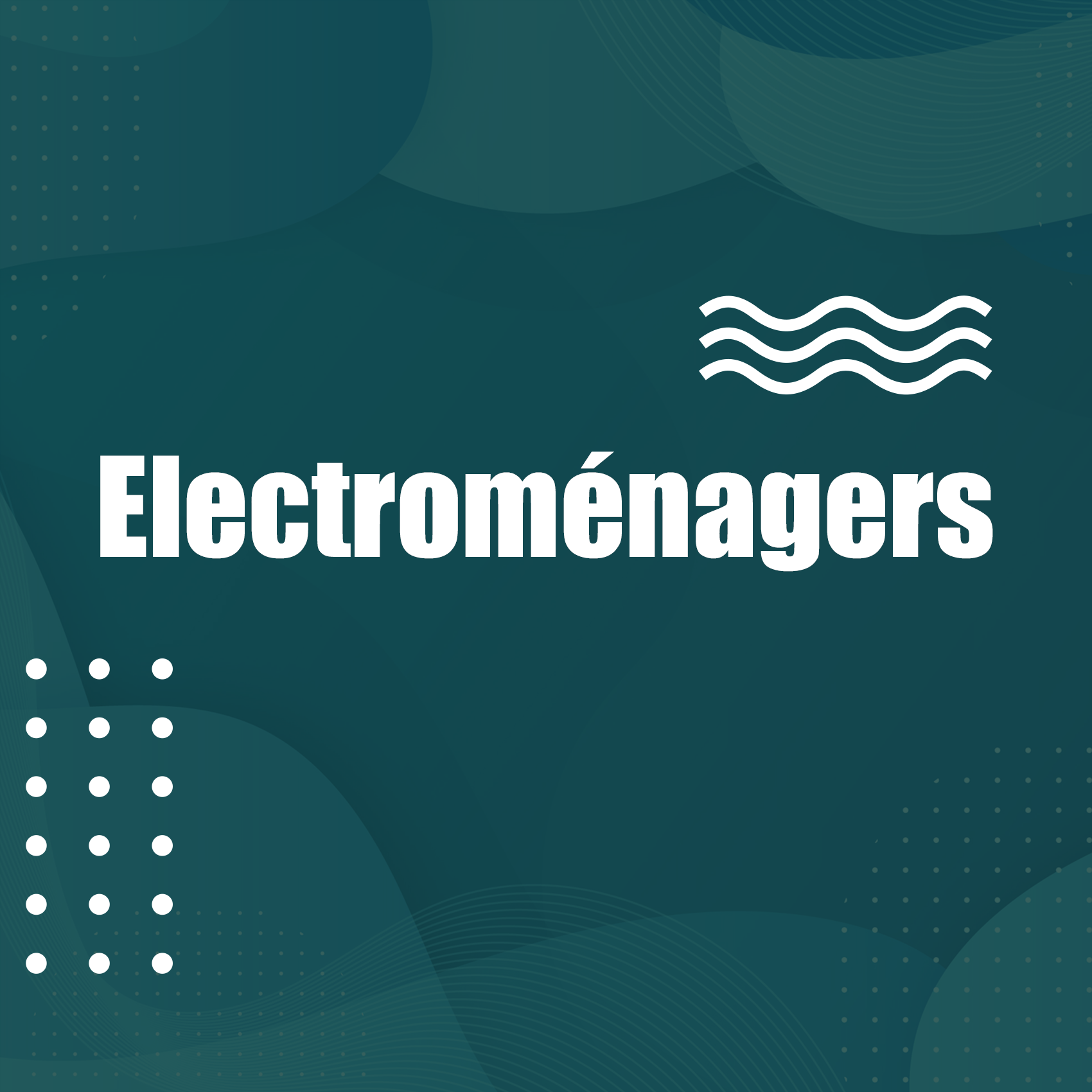 electromenagers